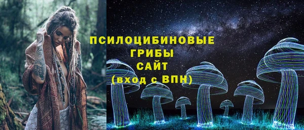индика Алзамай