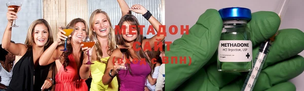 индика Алзамай