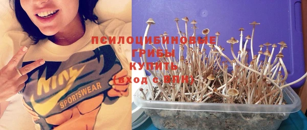 индика Алзамай
