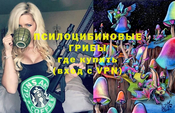 индика Алзамай